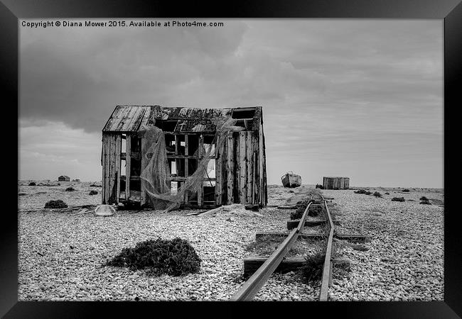  Dungeness  Framed Print by Diana Mower