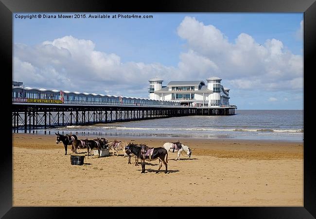  Weston Super Mare Donkeys on the Beach Framed Print by Diana Mower