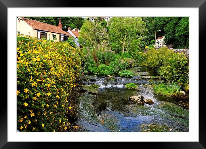  Cheddar Gorge Village Framed Mounted Print by Diana Mower