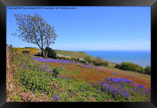  Hastings Country Park Framed Print by Diana Mower