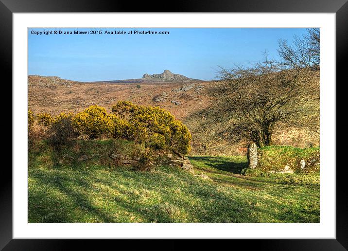  Haytor Dartmoor Framed Mounted Print by Diana Mower