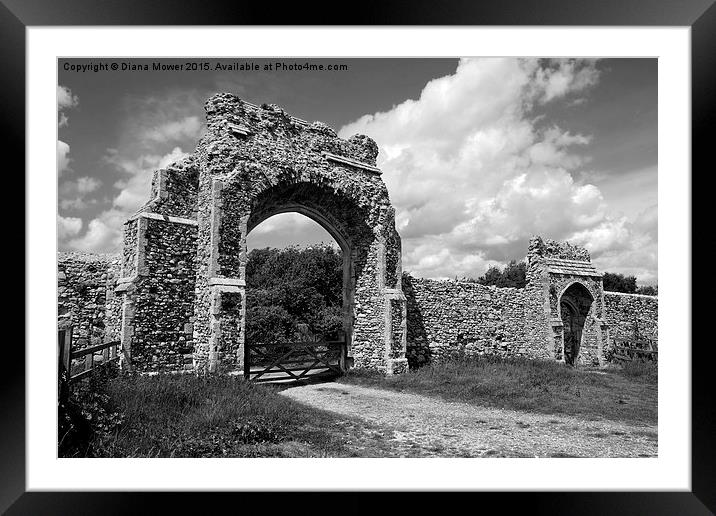  Greyfriars Priory Gateway Framed Mounted Print by Diana Mower