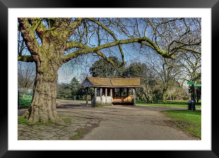  Finsbury Park Framed Mounted Print by Diana Mower