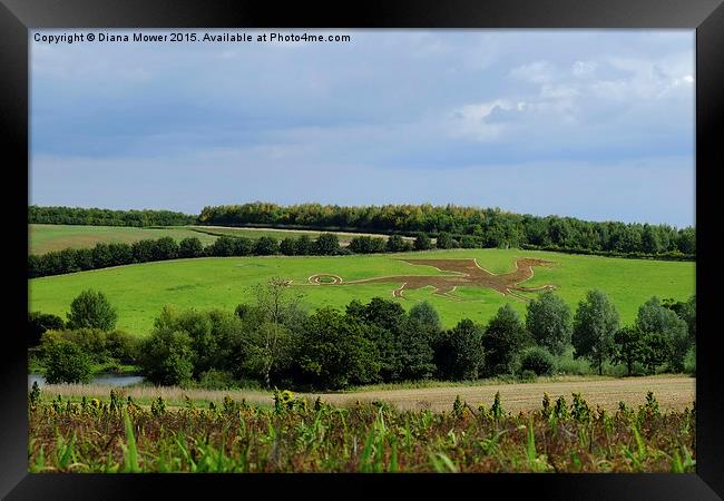  The Bures Dragon Framed Print by Diana Mower