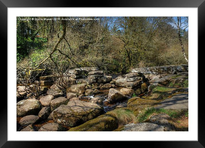 The East Dart, Dartmoor  Framed Mounted Print by Diana Mower