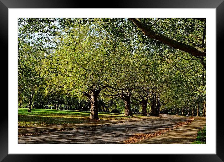  Finsbury Park London Framed Mounted Print by Diana Mower