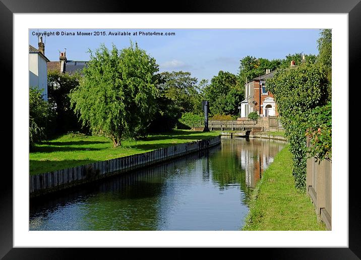 The New River London  Framed Mounted Print by Diana Mower