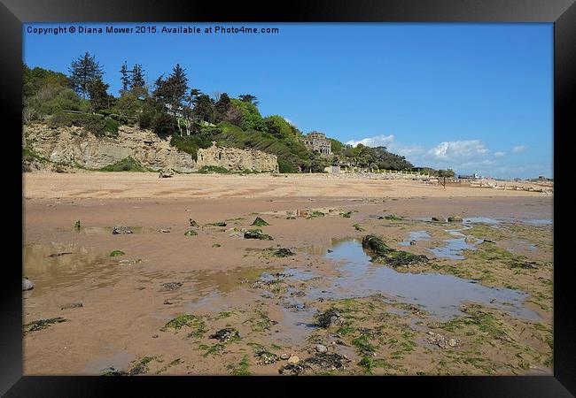  Pett Level, East Sussex Framed Print by Diana Mower