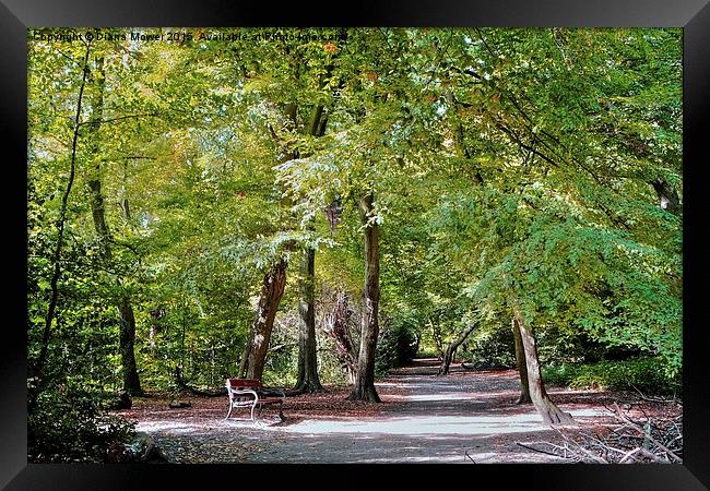  Highgate Wood London Framed Print by Diana Mower