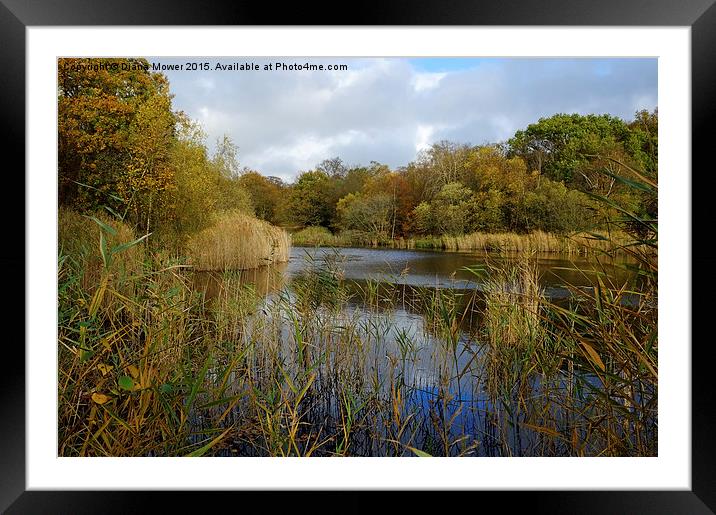  Wake Valley Pond, Epping Forest Framed Mounted Print by Diana Mower