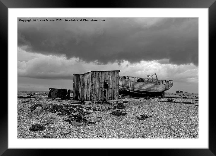  Dungeness   Kent Framed Mounted Print by Diana Mower