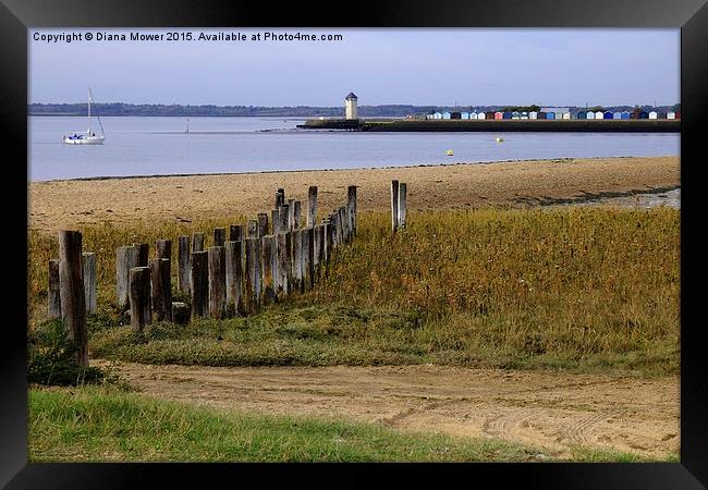  Brightlingsea from St Osyth Framed Print by Diana Mower