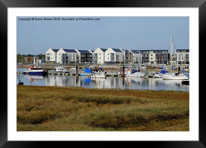  Brightlingsea Marina from St Osyth Framed Mounted Print by Diana Mower