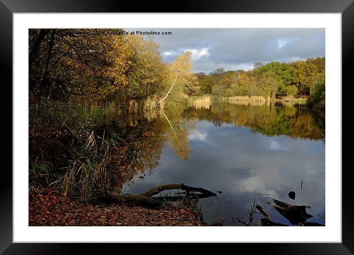  Wake Valley Pond Epping Framed Mounted Print by Diana Mower