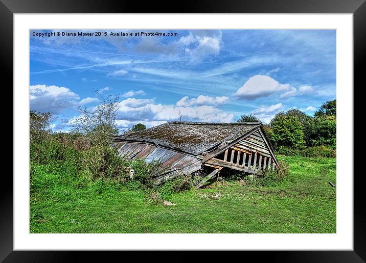  Along the Essex Way Framed Mounted Print by Diana Mower