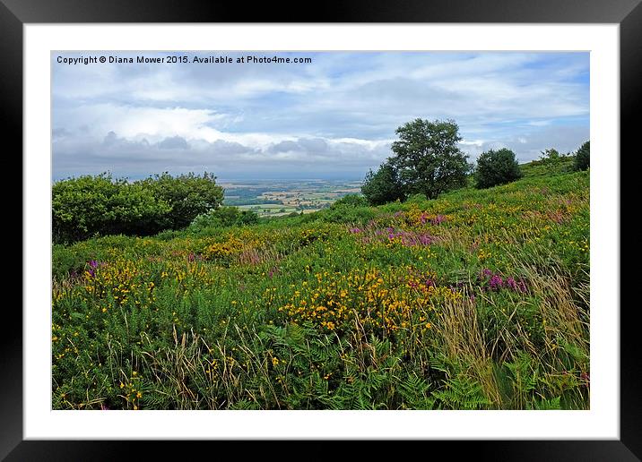  Quantock Hills Somerset Framed Mounted Print by Diana Mower