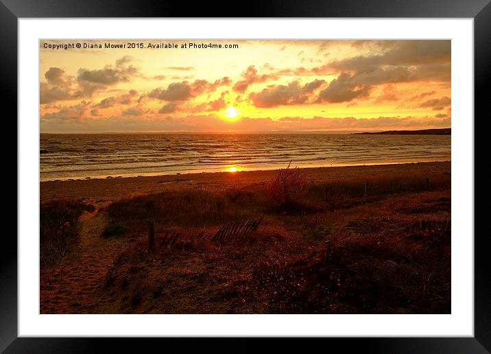  Sand Bay Sunset Framed Mounted Print by Diana Mower