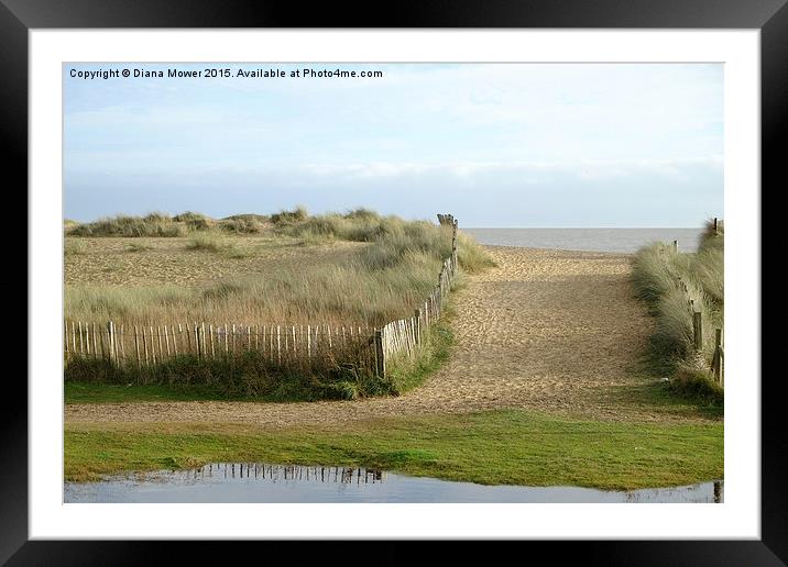 Walberswick Beach Path Framed Mounted Print by Diana Mower
