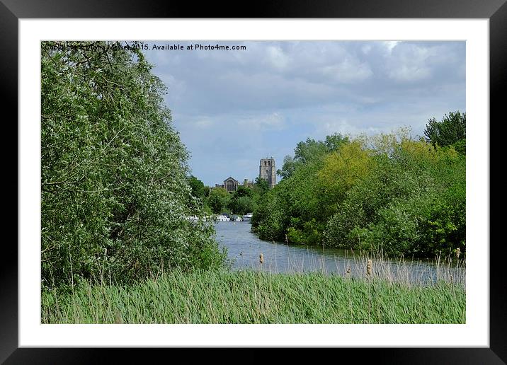 St Michaels  Beccles Suffolk   Framed Mounted Print by Diana Mower