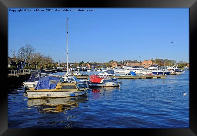 Oulton Broad  Framed Print by Diana Mower