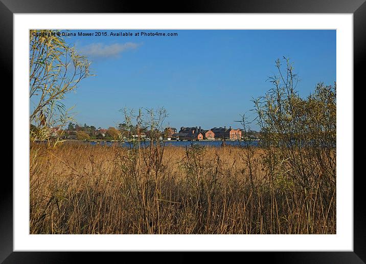  Oulton Broad View Framed Mounted Print by Diana Mower