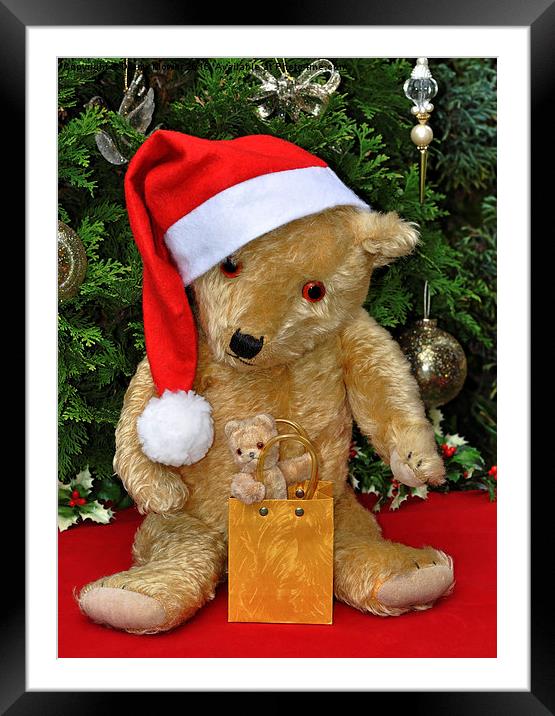  Christmas Bears Framed Mounted Print by Diana Mower