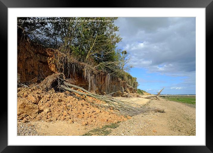 East Mersea Beach Framed Mounted Print by Diana Mower