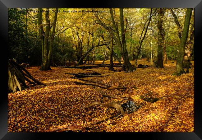 Epping Forest In Autumn Framed Print by Diana Mower