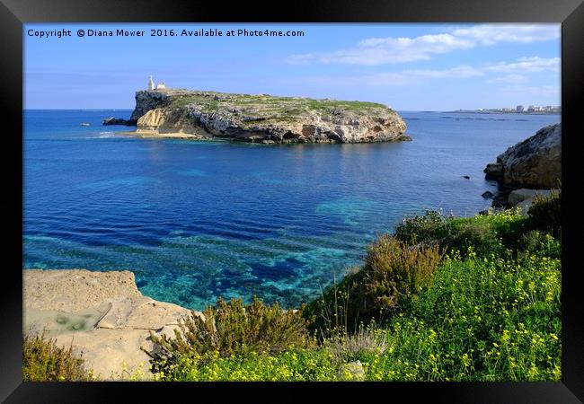 St Pauls Island Malta Framed Print by Diana Mower