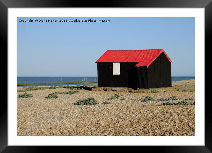 Red Roofed Hut, Rye Harbour Framed Mounted Print by Diana Mower