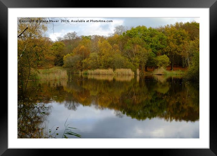 Wake Valley Pond Epping Framed Mounted Print by Diana Mower