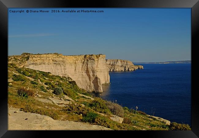 The Sanap Cliffs Gozo Framed Print by Diana Mower