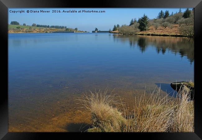 Fernworthy Reservoir Framed Print by Diana Mower