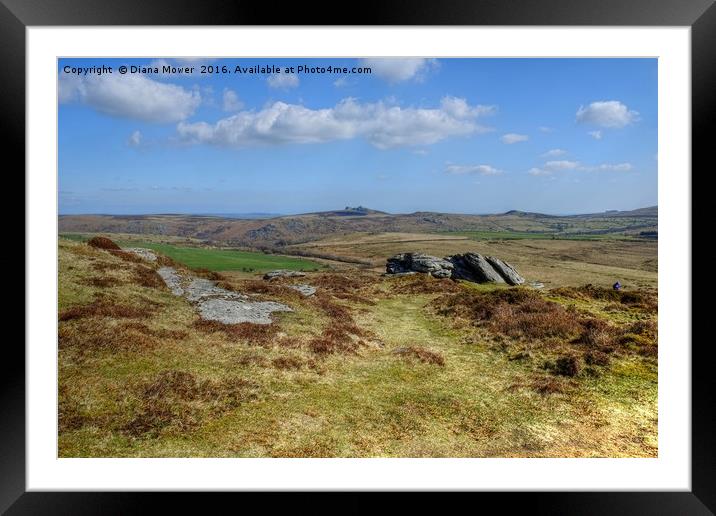 Hay Tor From Chinkwell Tor Framed Mounted Print by Diana Mower