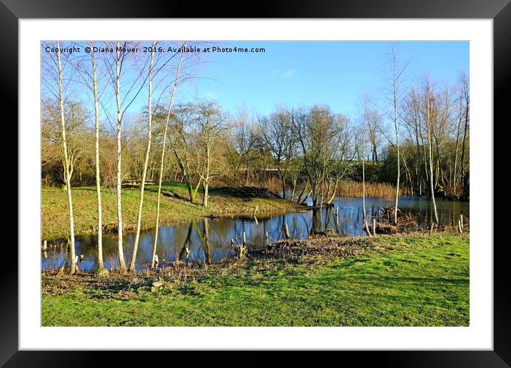  Long Melford Country Park, Suffolk Framed Mounted Print by Diana Mower