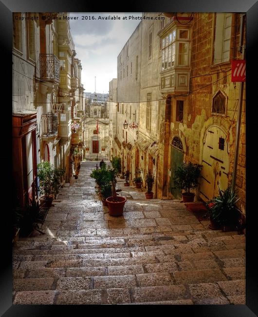 Valletta Street Framed Print by Diana Mower