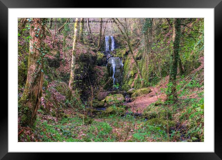 Clampit Falls, Devon. Framed Mounted Print by Diana Mower