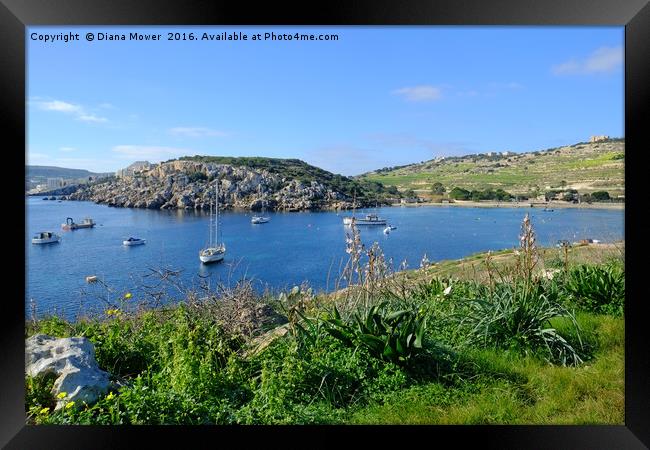 Mistra Bay Malta Framed Print by Diana Mower
