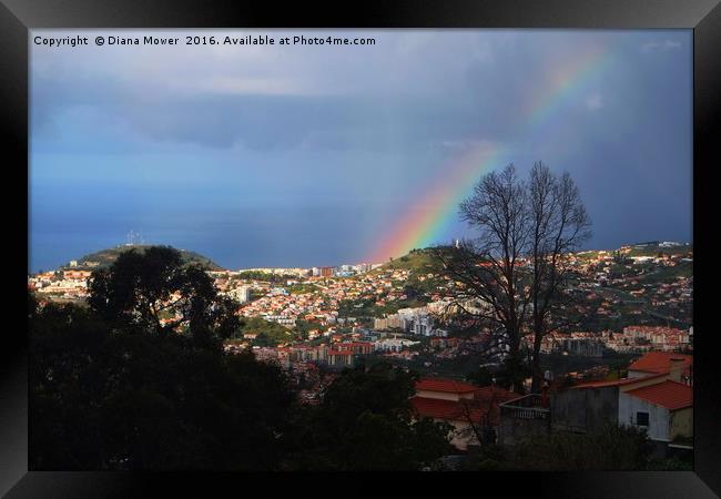 Rainbow over Funchal Framed Print by Diana Mower