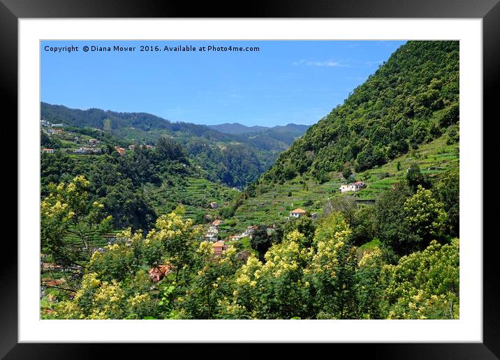 The Ribeira de Machico Valley, Madeira Framed Mounted Print by Diana Mower