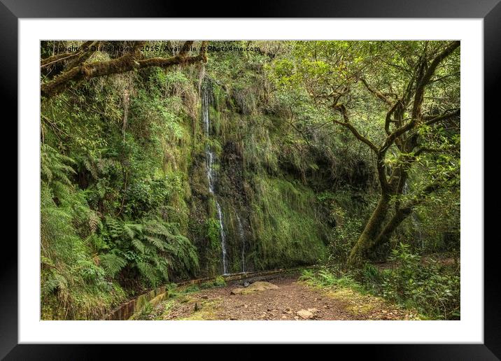Madeiran Waterfall Framed Mounted Print by Diana Mower