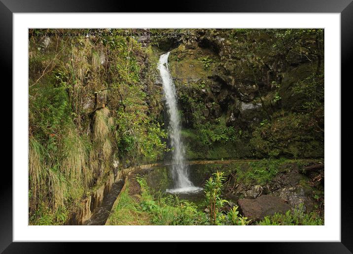 Madeiran Waterfall Framed Mounted Print by Diana Mower