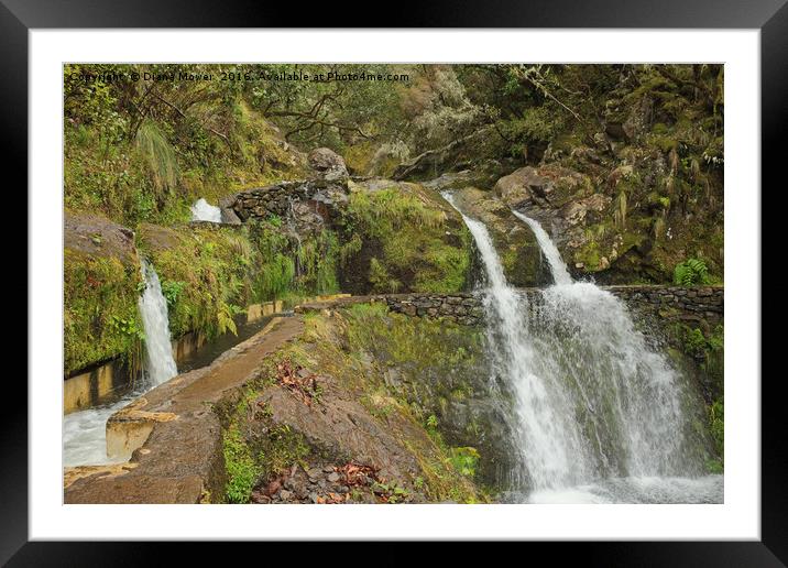 Madeiran Waterfall Framed Mounted Print by Diana Mower