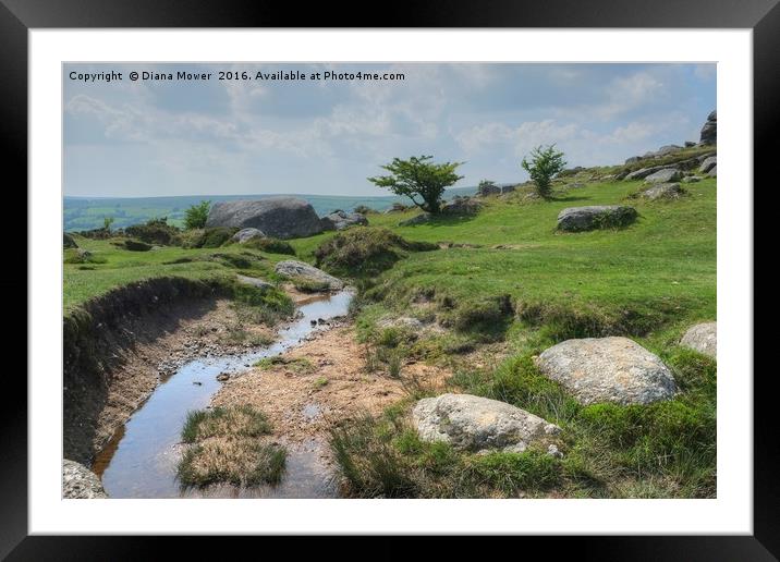 Bell Tor Stream  Framed Mounted Print by Diana Mower