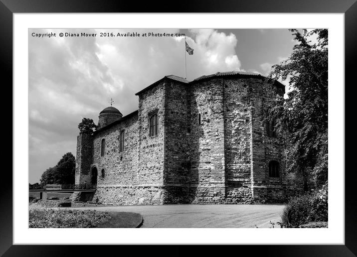 Colchester Castle Framed Mounted Print by Diana Mower