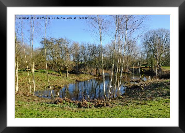  Long Melford Country Park, Suffolk Framed Mounted Print by Diana Mower