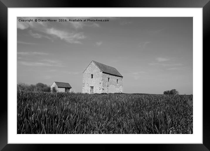 St Peters Chapel Bradwell  Framed Mounted Print by Diana Mower
