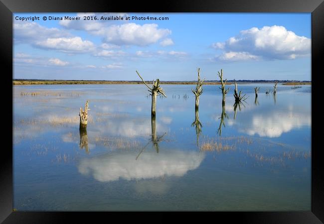 Tollesbury Marshes at High Tide Framed Print by Diana Mower