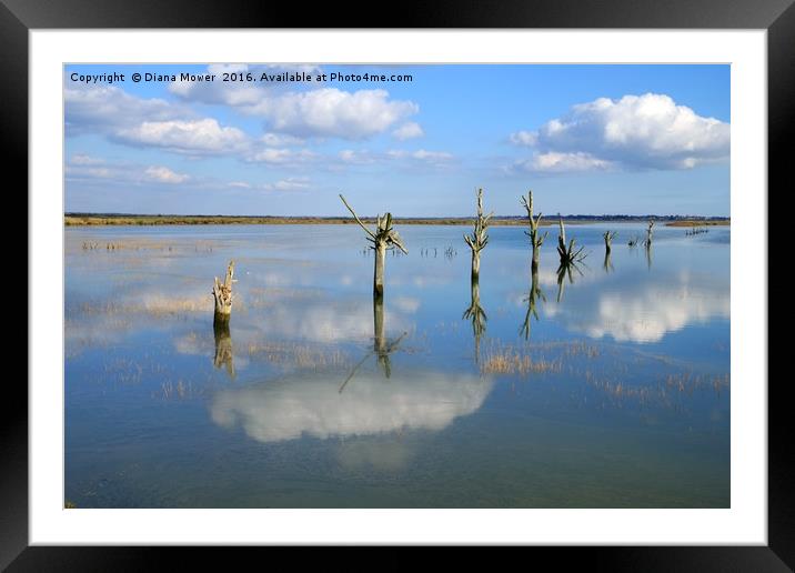 Tollesbury Marshes at High Tide Framed Mounted Print by Diana Mower