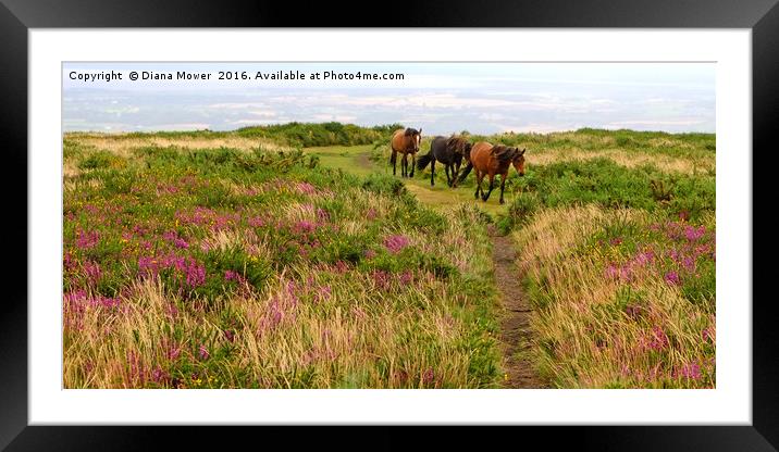 Quantock Hills Somerset Framed Mounted Print by Diana Mower